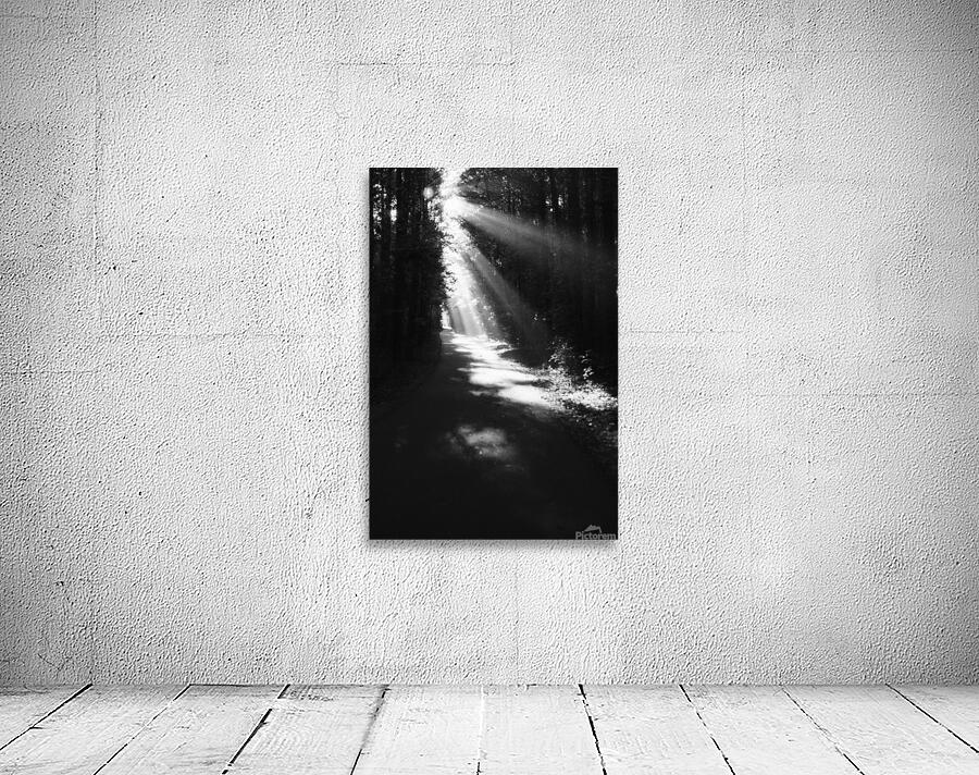 Silver Comet Wall Preview