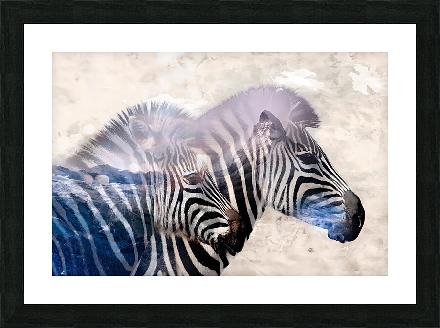 Zebra art 2 Picture Frame print