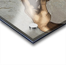 The Creation of Adam Acrylic print