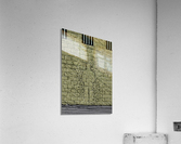 Death Acrylic Print