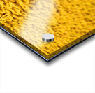 Sunflow Bee Acrylic print