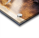 Camp Verde TX. Acrylic print