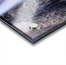 Yosemite National Park CA. Acrylic print