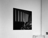 Full Moon Along the Guadalupe Acrylic Print