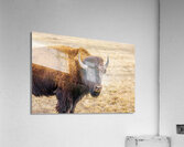 Camp Verde TX. Acrylic Print