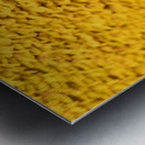 Sunflow Bee Metal print