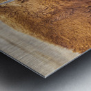 Camp Verde TX. Metal print