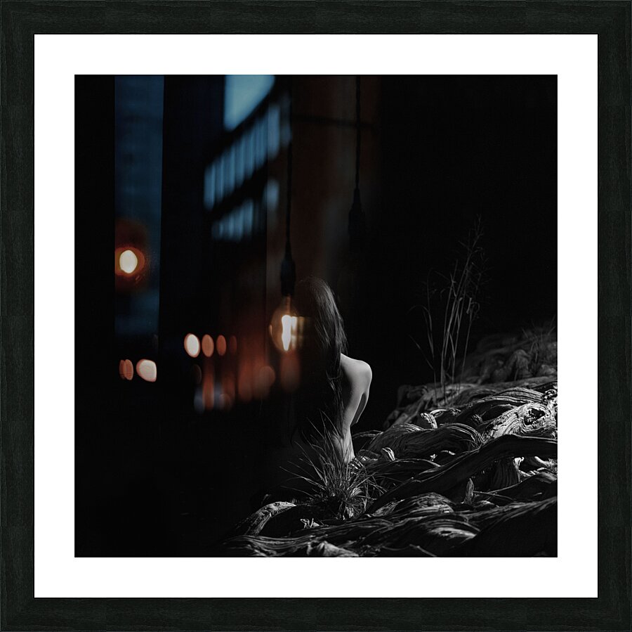 Full Moon Along the Guadalupe Picture Frame Printing