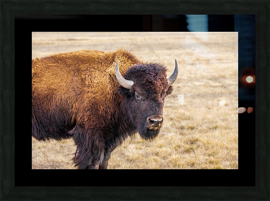 Camp Verde TX. Picture Frame Printing