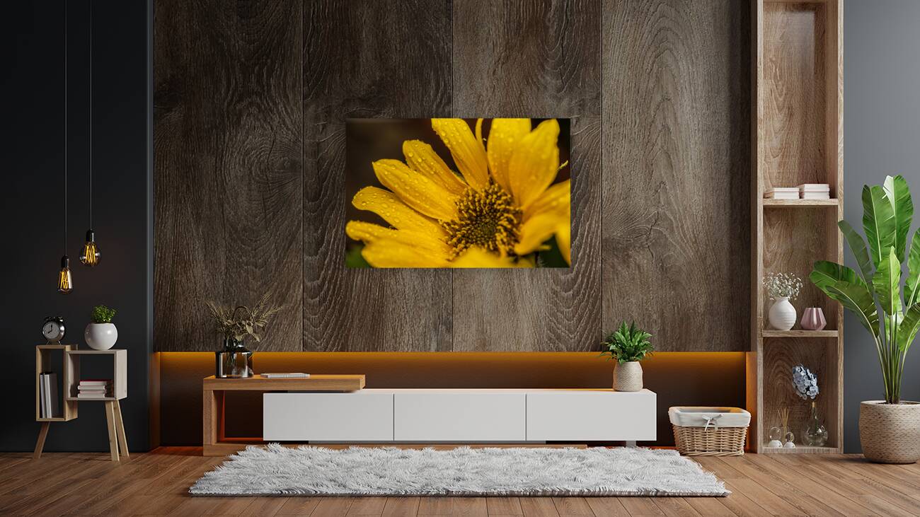 Sunflower Reproduction