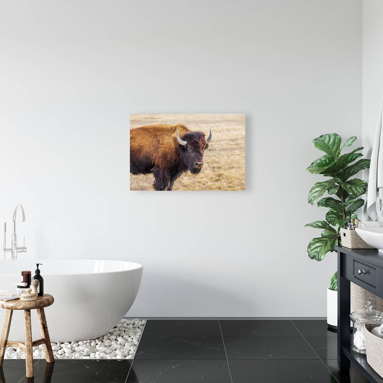 Camp Verde TX. Reproduction