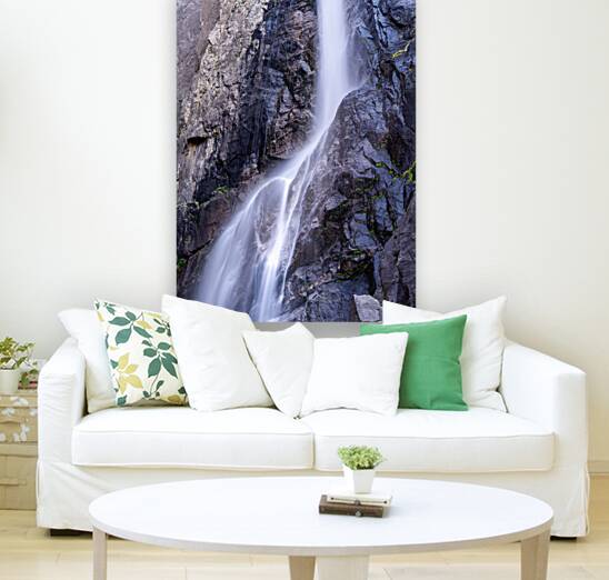 Yosemite National Park CA. Reproduction