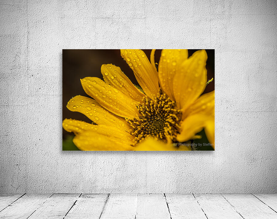 Sunflower Wall Preview