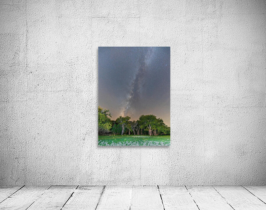 Ingram TX. Wall Preview