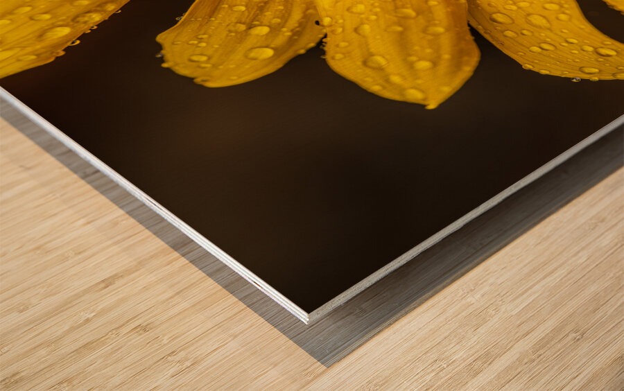 Sunflower Wood print