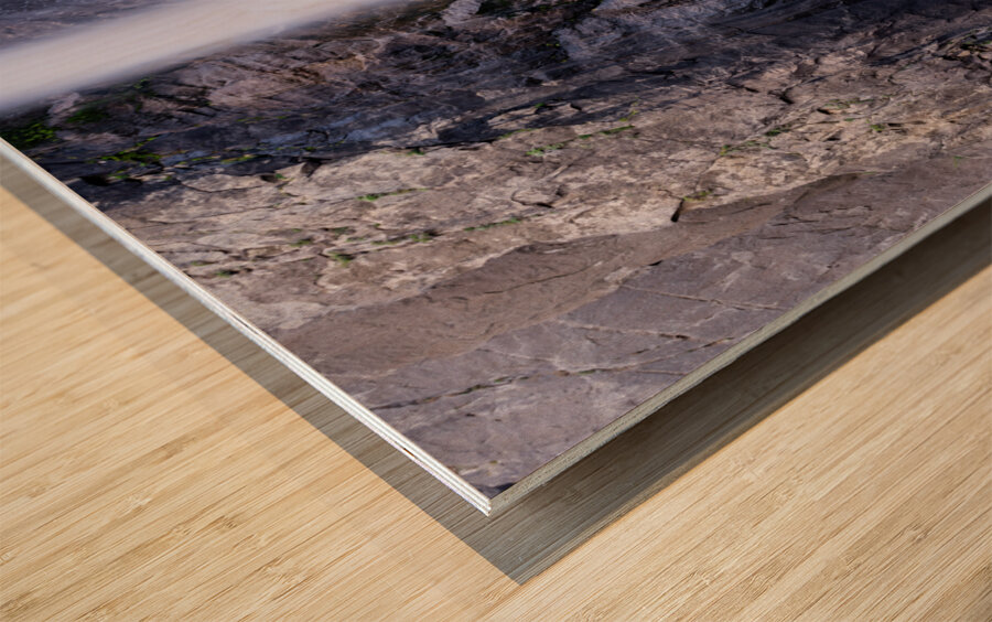 Yosemite National Park CA. Wood print