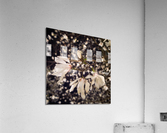 Magnolia bloom Acrylic Print