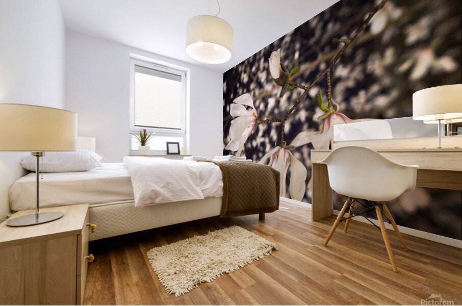 Magnolia bloom Mural print