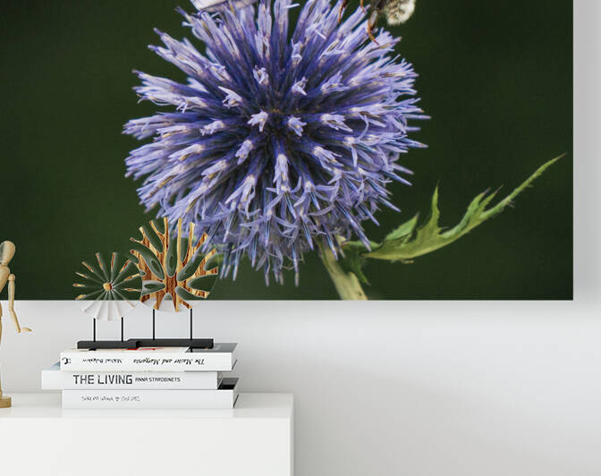 Bee Yourself by alex nika photography