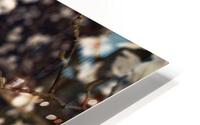 Magnolia bloom HD Metal print