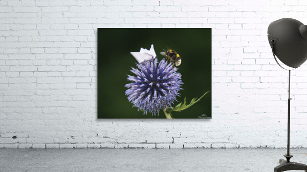 Bee Yourself Wall Preview
