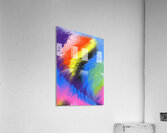 Storm Color  Acrylic Print