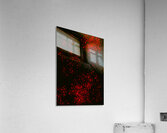 Explosive Colors Acrylic Print