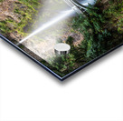 Multnomah Falls Acrylic print