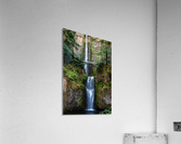 Multnomah Falls Acrylic Print