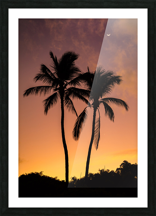 Two Palms Sunrise Picture Frame print
