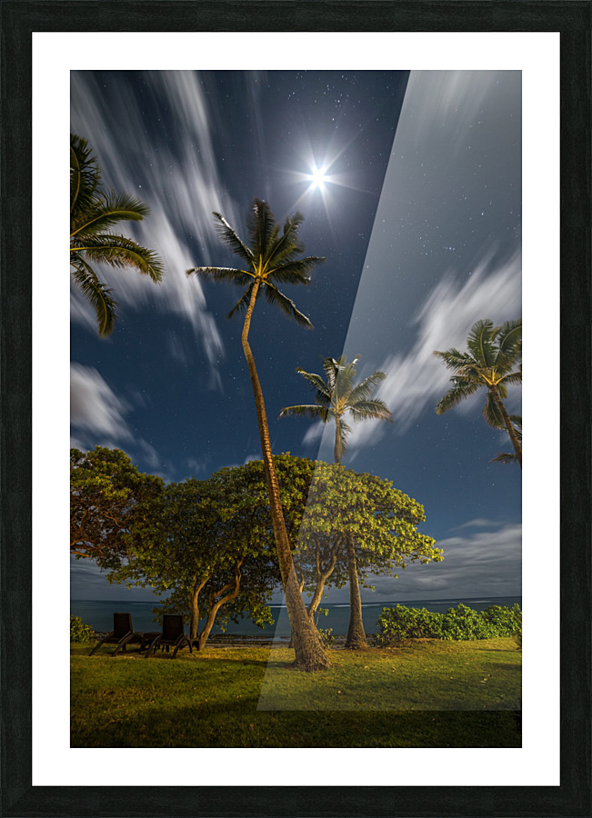 Moonlit Palm Trees Picture Frame print