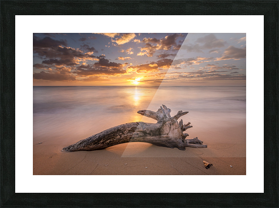 Beach Tree Sunrise Picture Frame print