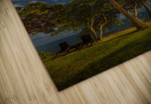 Moonlit Palm Trees Pierre Leclerc Photography puzzle
