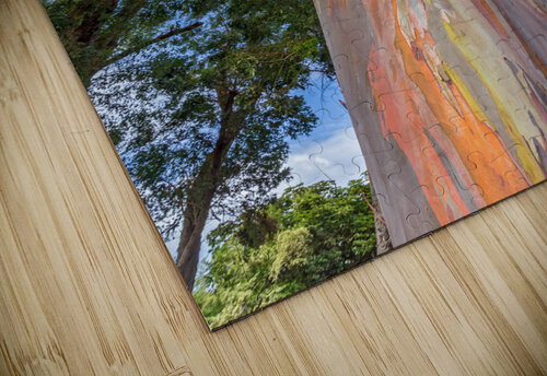 Rainbow Tree Pierre Leclerc Photography puzzle