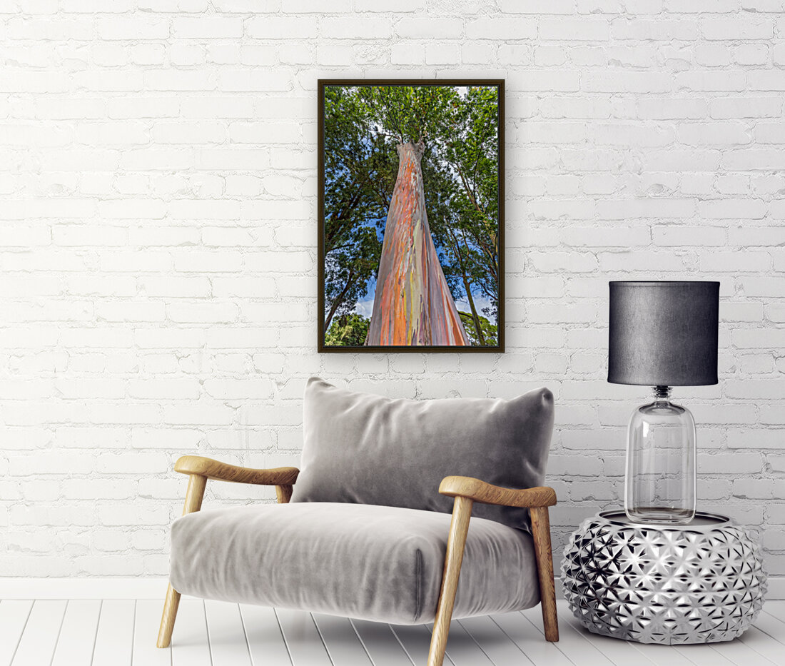 Rainbow Tree Reproduction