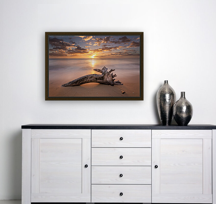 Beach Tree Sunrise Reproduction