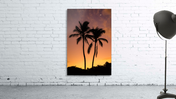 Two Palms Sunrise Wall Preview