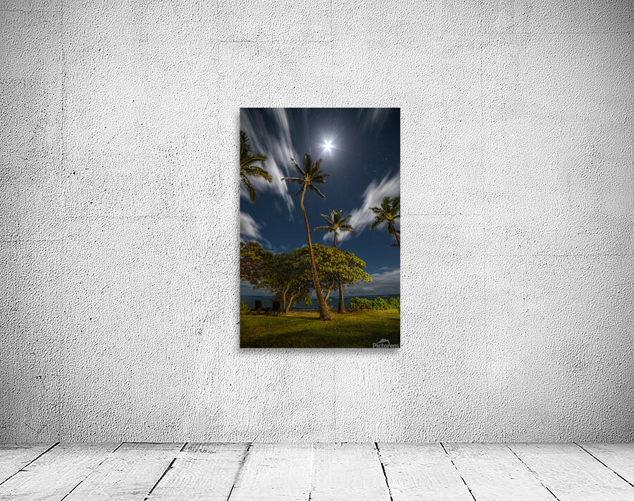 Moonlit Palm Trees Wall Preview