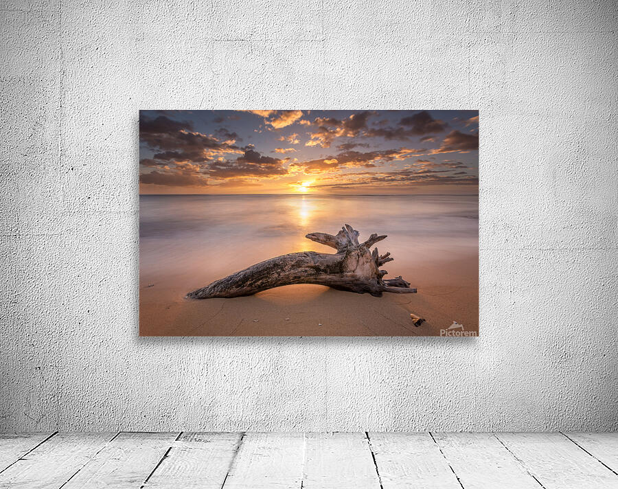 Beach Tree Sunrise Wall Preview