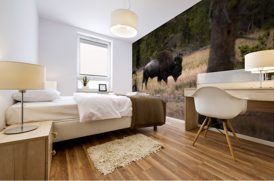 Bison Mural print