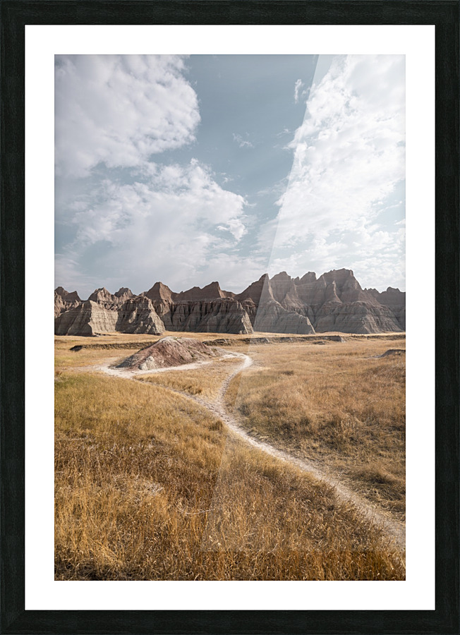 Badlands Picture Frame print