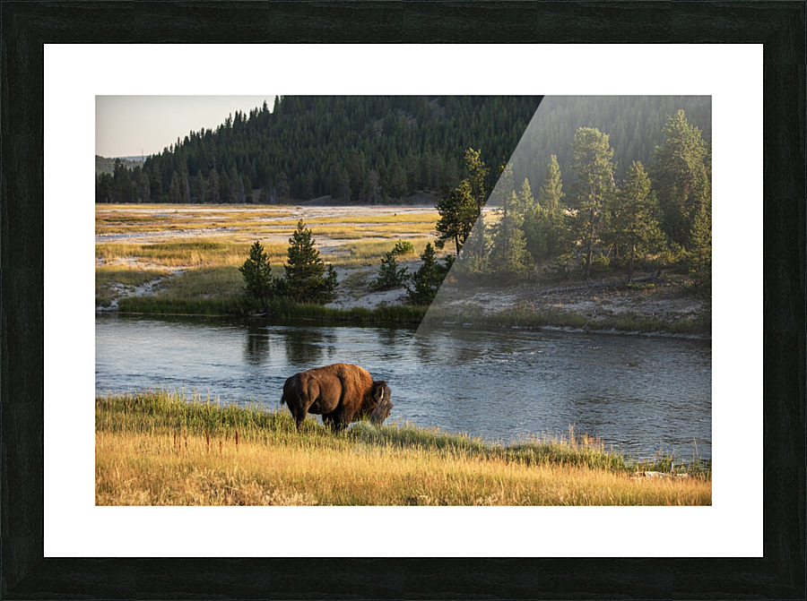 Buffalo River wide Picture Frame print