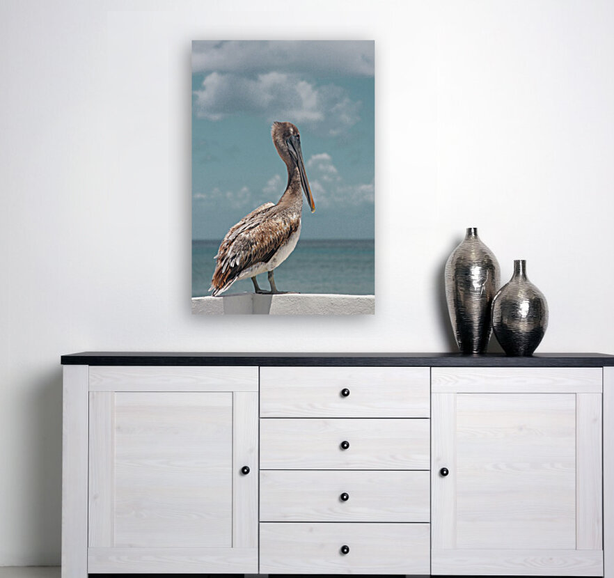 Pelican Reproduction
