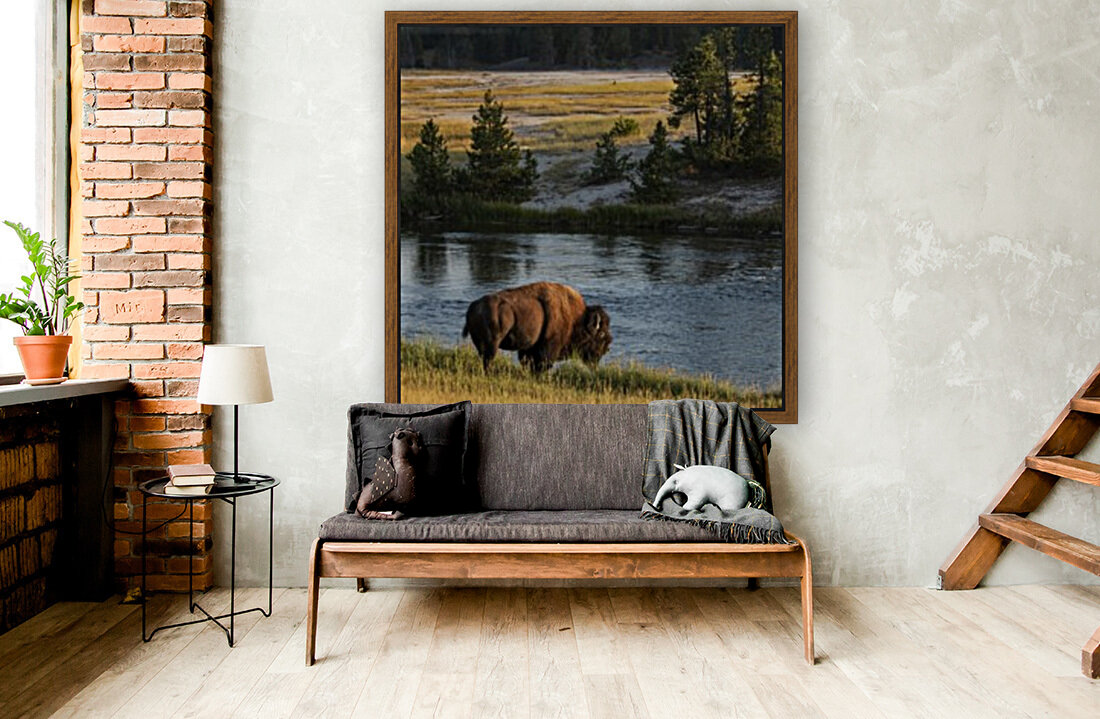 Buffalo River Reproduction