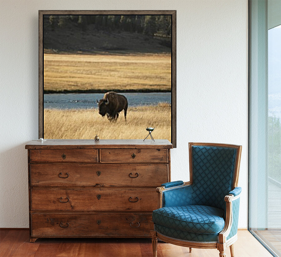 Bison River Reproduction