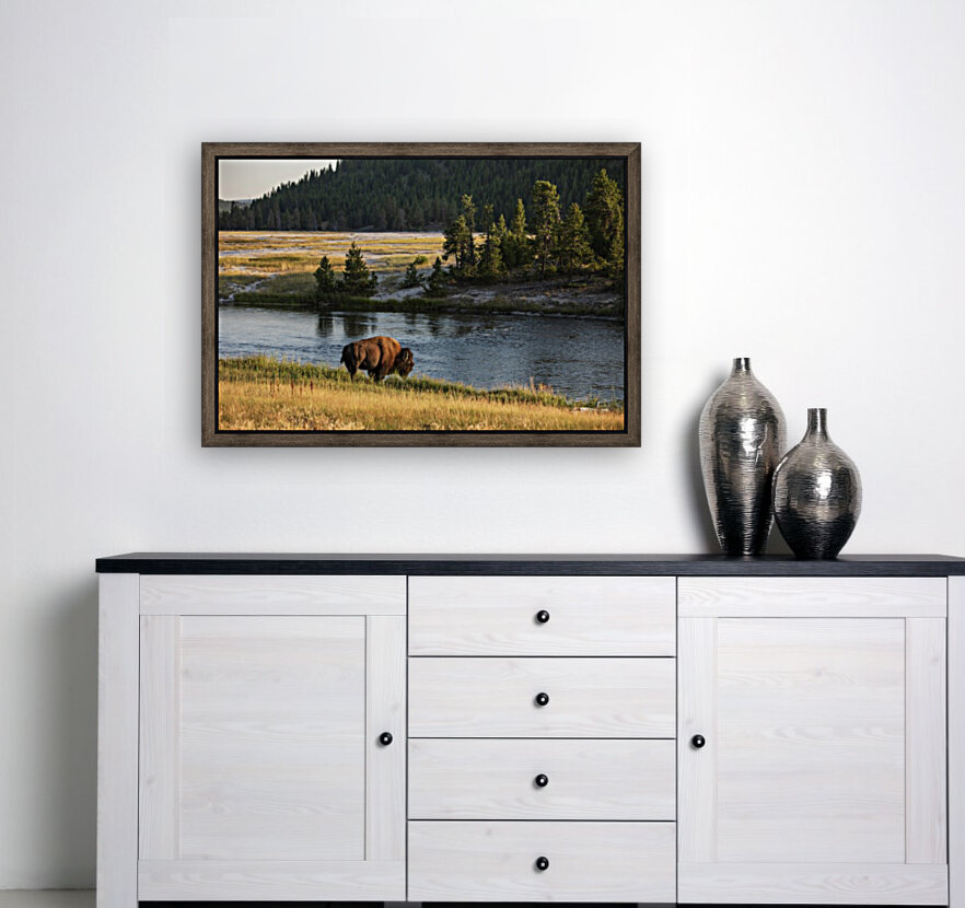 Buffalo River wide Reproduction