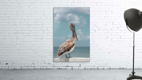 Pelican Wall Preview