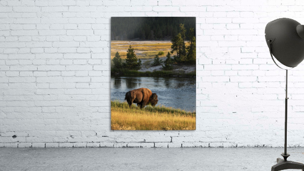 Buffalo River Wall Preview