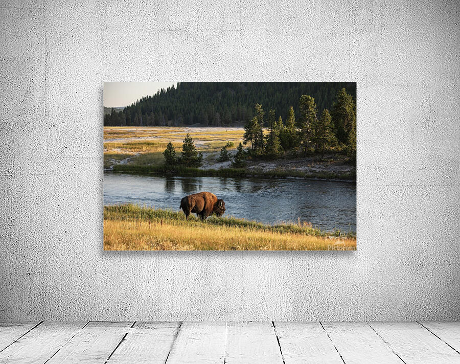 Buffalo River wide Wall Preview