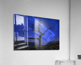  Burmis Tree Part III Acrylic Print
